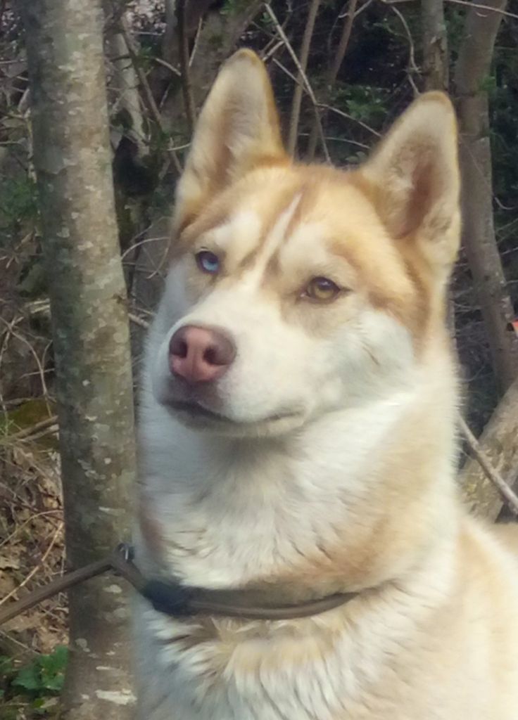 Ripley du fond des abyss